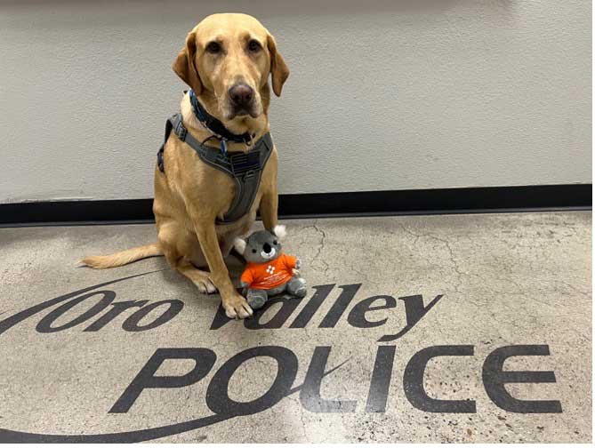 a service dog sit on a police office floor